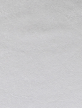Samantha Slimline Clutch - Silver