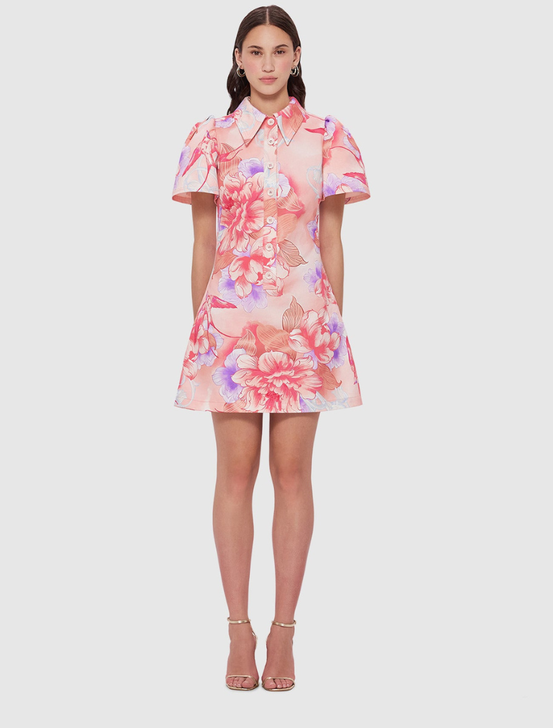 Brooke Shirt Sleeve Mini Dress - Swallow Print in Lush