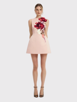 Ali Embroidered Boat Neck Mini Dress - Reverie Print in Nectar