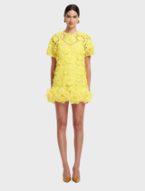 Maggie Lace Mini Dress - Sunshine