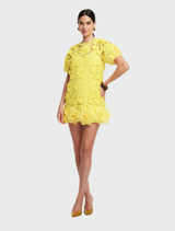 Maggie Lace Mini Dress - Sunshine