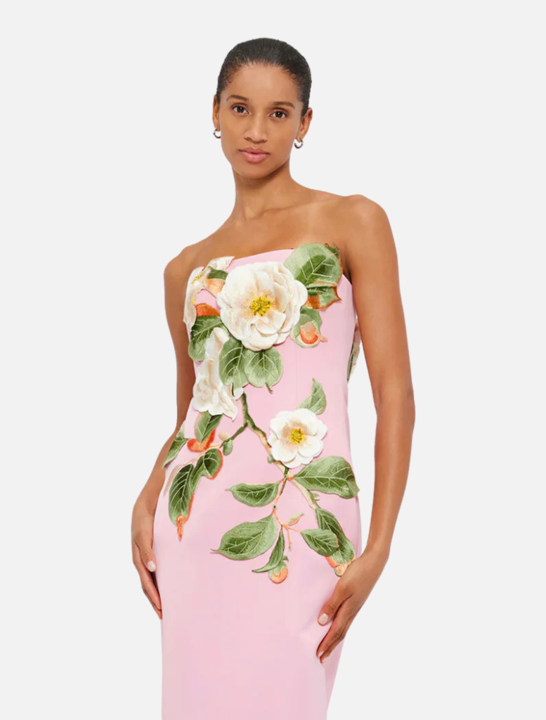 Rayna Appliqué Floral Bustier Maxi Dress - Camelia Print