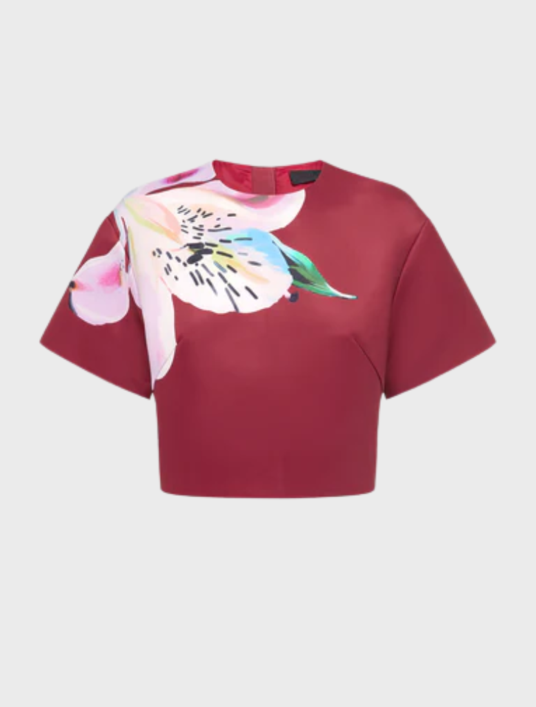 Indie Sleeve Top - Lily Print in Burgundy