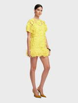 Maggie Lace Mini Dress - Sunshine