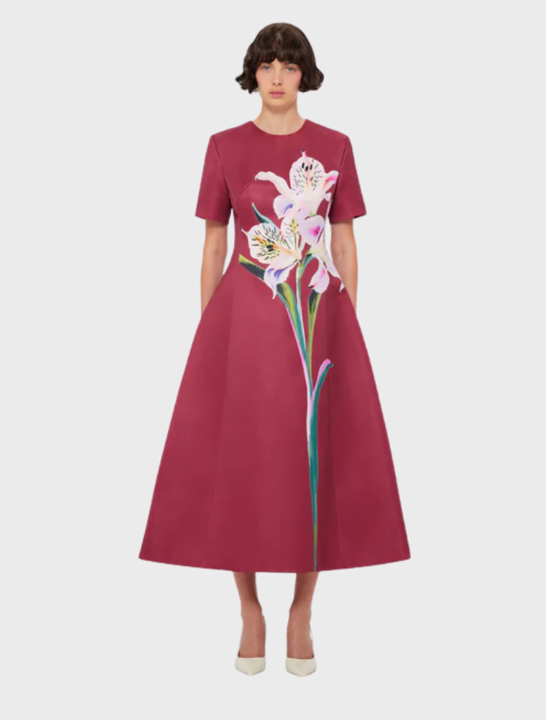 Caroline Short Sleeve Midi Dress - Lily Print in Burgundy