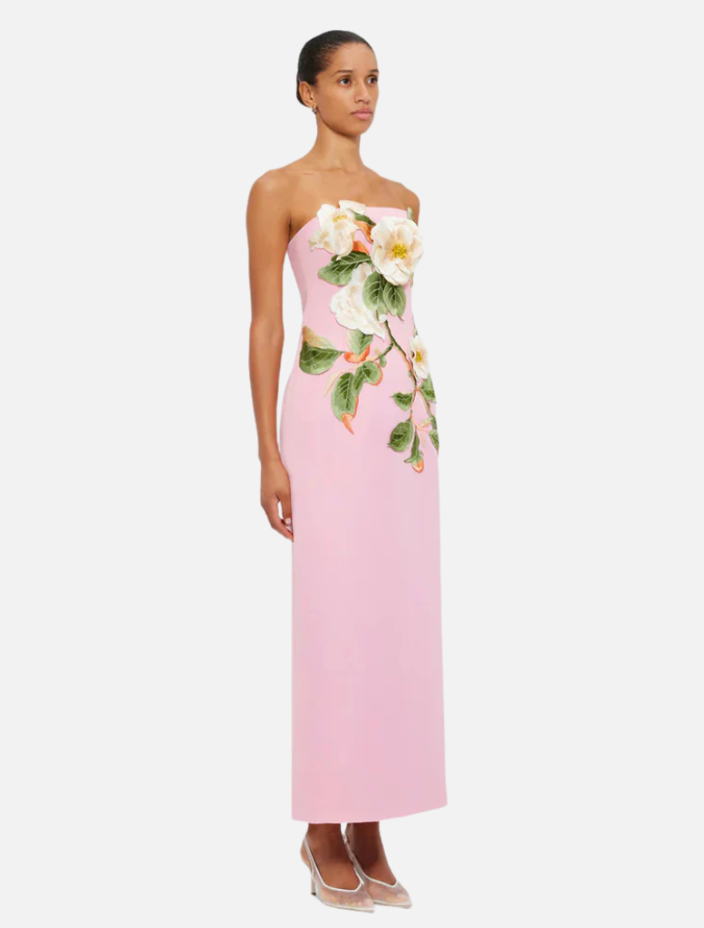 Rayna Appliqué Floral Bustier Maxi Dress - Camelia Print