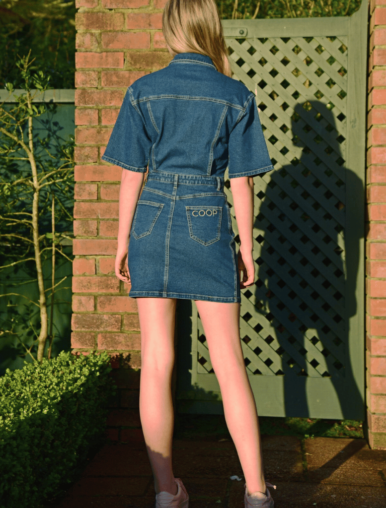 Day Jean Believer Dress - Blue