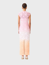 Lumira Cap Sleeve Gown - Pink Ombre