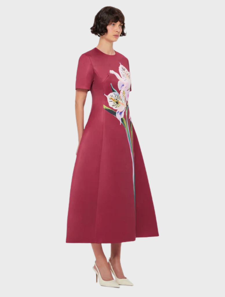 Caroline Short Sleeve Midi Dress - Lily Print in Burgundy