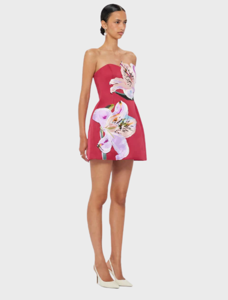 Rosario Appliqué Floral Bustier Mini Dress - Lily Print in Oxblood