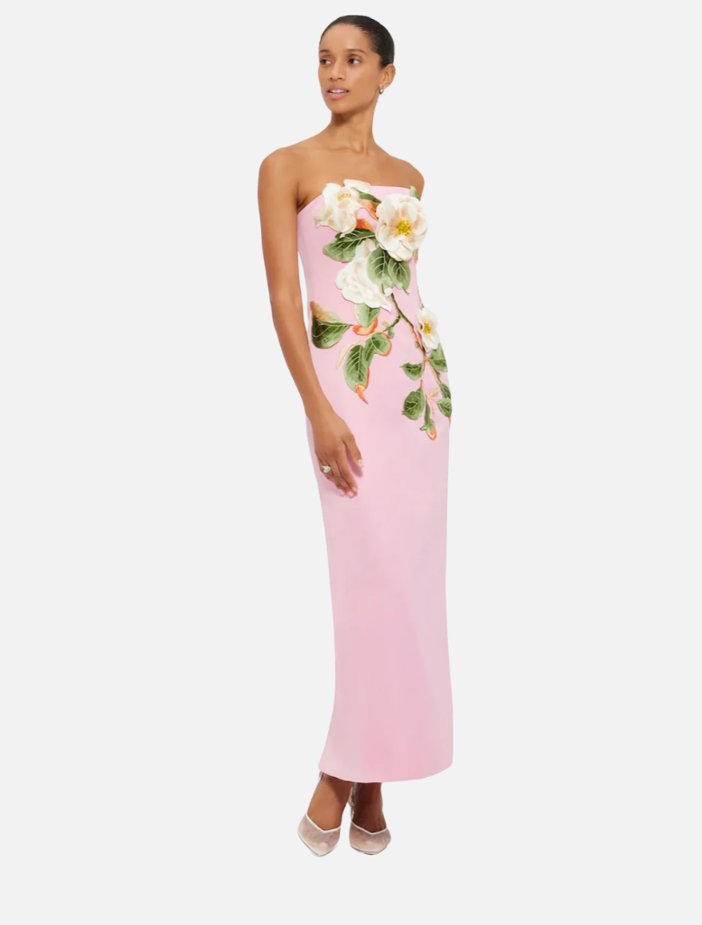 Rayna Appliqué Floral Bustier Maxi Dress - Camelia Print