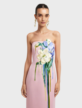 Rayna Embroidered Bustier Maxi Dress - Pastel Pink