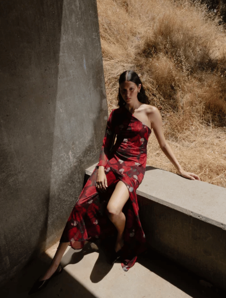 Divergence Dress - Briar Rose