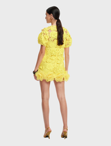 Maggie Lace Mini Dress - Sunshine