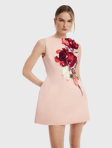 Ali Embroidered Boat Neck Mini Dress - Reverie Print in Nectar