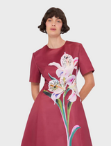 Caroline Short Sleeve Midi Dress - Lily Print in Burgundy