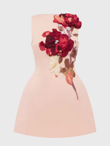 Ali Embroidered Boat Neck Mini Dress - Reverie Print in Nectar