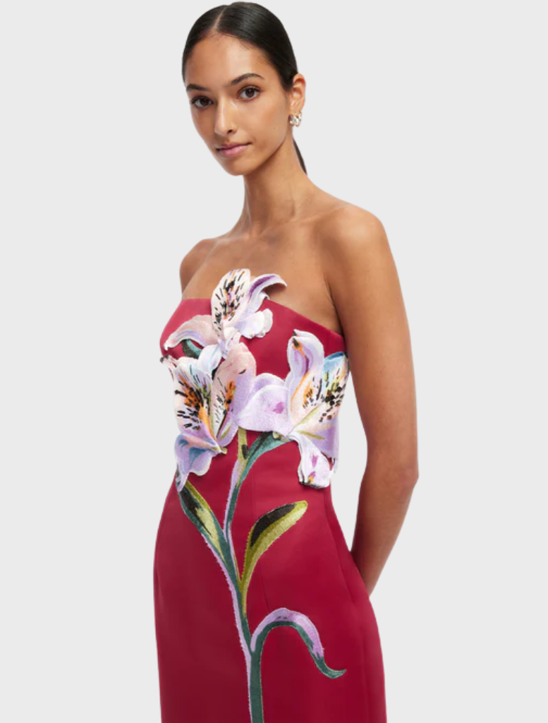 Rayna Appliqué Floral Maxi Dress - Lily Print in Oxblood