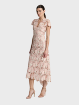 Belinda Dress - Blush Cream