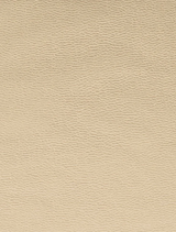 Samantha Slimline Clutch - Gold