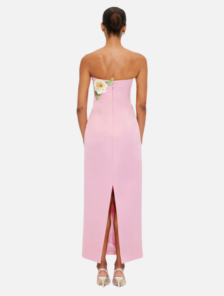 Rayna Appliqué Floral Bustier Maxi Dress - Camelia Print