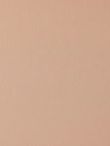 Ariella Slimline Clutch - Natural