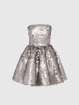 Skye Sequin Bustier Mini Dress - Metallic