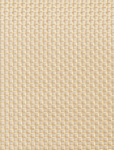 Jen Mesh Clutch - Gold
