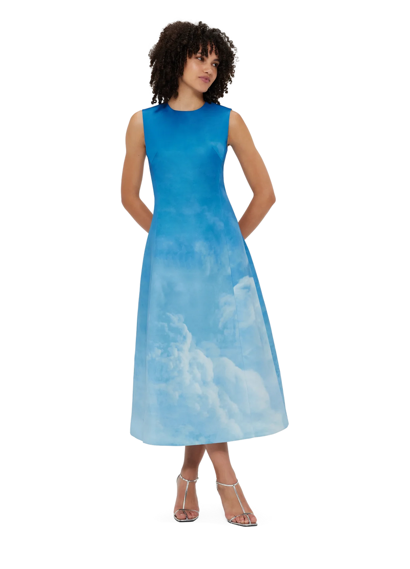 Cleo Sleeveless Midi Dress - Aerial Print