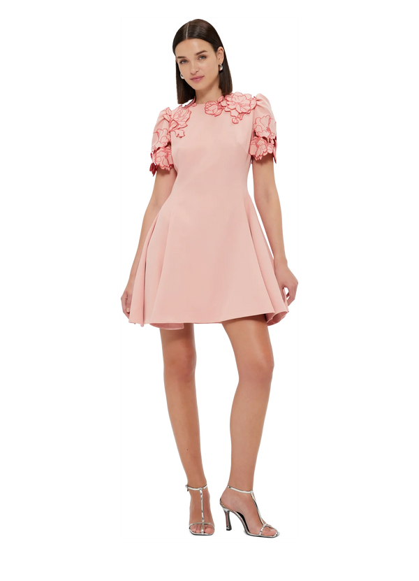 Elyse Appliqué Short Sleeve Mini Dress - Light Rose