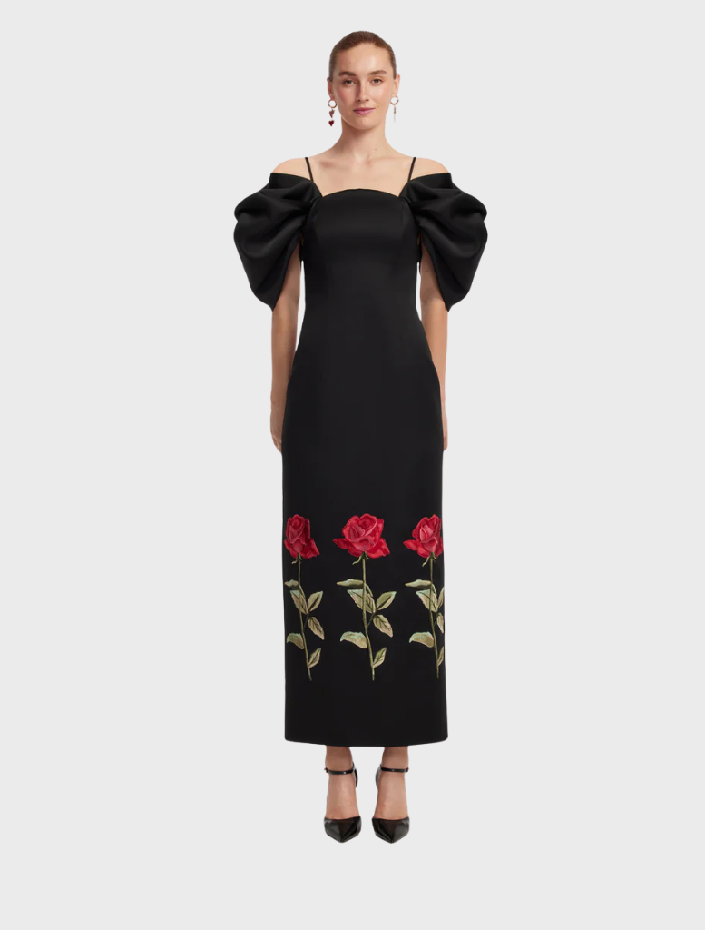 Elegant ebony maxi dress featuring intricate embroidery, perfect for formal occasions or evening events.
