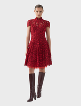 A ruby A-line dress called Carmen, highlighting a structured bodice and a gently flared skirt, presented on a hanger.