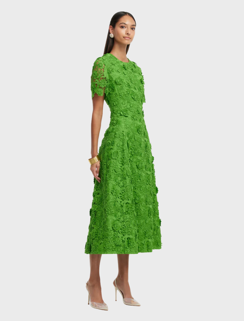 A stylish green dress crafted from lace, complete with short sleeves for a chic appearance.