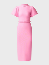 A pink midi dress crafted from stretchy fabric, offering a flattering fit and versatile style for everyday wear.