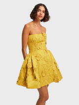 An elegant mini dress with a detailed embellished bustier, combining style and sophistication for a stunning appearance.