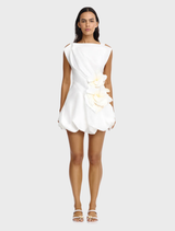 Ivory Falldon Mini Dress featuring a fitted silhouette and delicate fabric, perfect for casual or semi-formal occasions.