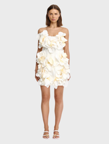 Ivory Jackhill Mini Dress featuring a fitted silhouette and short sleeves, perfect for casual or semi-formal occasions.