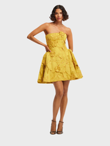 An opulent mini dress with a decorative bustier, highlighting a chic and fashionable look for special occasions.