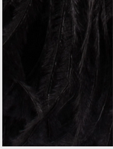 Elegant black feather purse with a gold ring, known as the Penny Feathered Frame Bag, perfect for formal occasions.