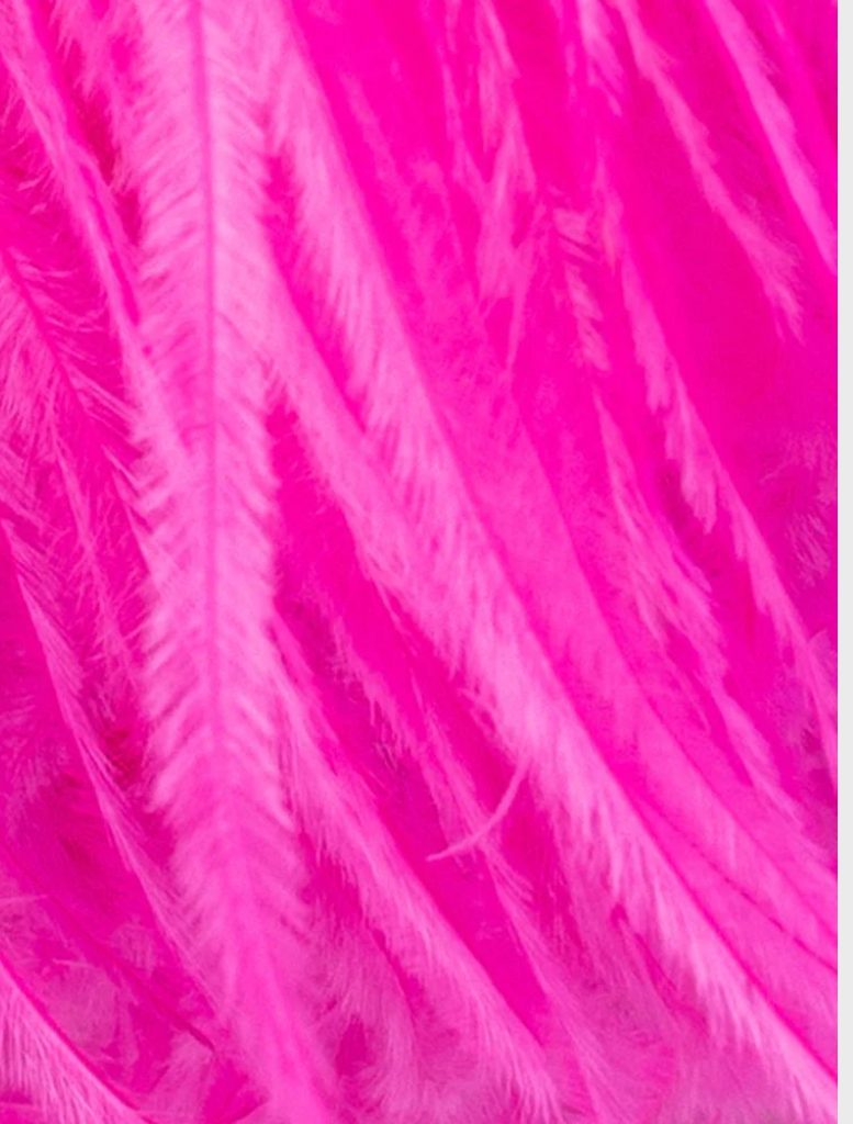 A vibrant pink feather purse with a decorative metal ring