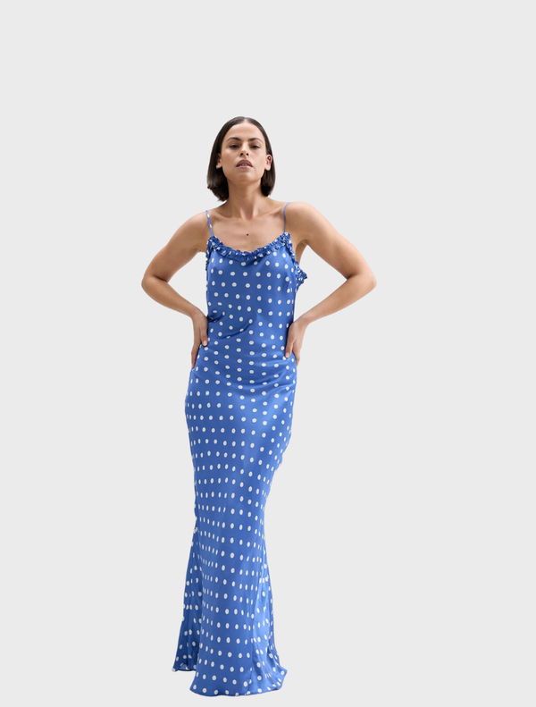 Elegant royal antique Posey dress featuring intricate floral patterns and a flowing silhouette.