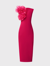 A raspberry pink maxi dress, featuring a flowing silhouette and elegant design suitable for various occasions.