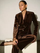Mahogany velvet fitted blazer with long sleeves, stand collar, and two-button front closure; unlined design.