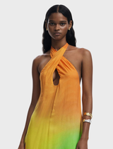 Vibrant multi-colored maxi dress with a bird of paradise print, designed with a halter neck for a stylish summer look.
