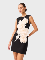 Elegant black Zahara Shift Mini Dress with a modern cut, perfect for casual or formal occasions.