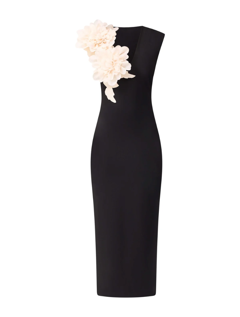Sophisticated black Zahara V-Neck gown, ideal for formal events with its timeless design.