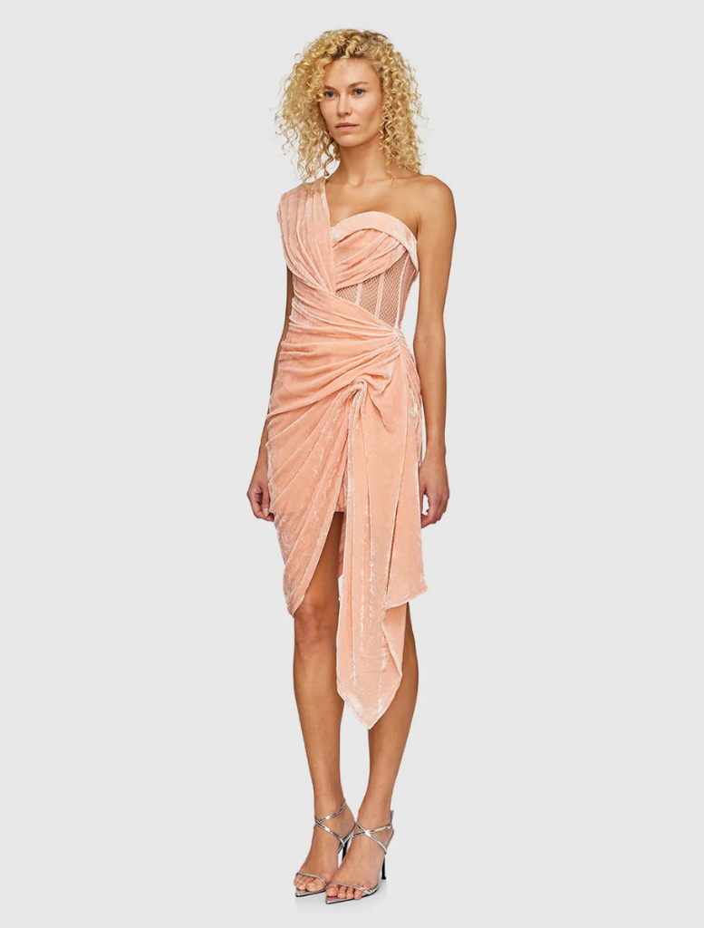 Georgia Velvet Slip Mini Dress - Blush